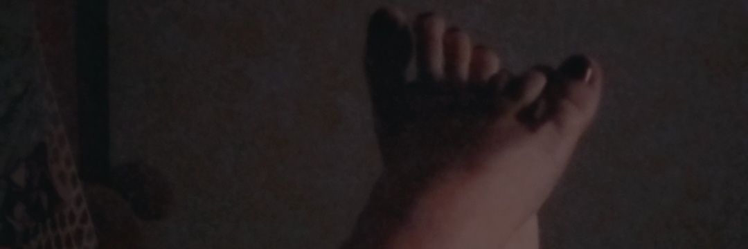 🍯HoneyPup🐾 banner