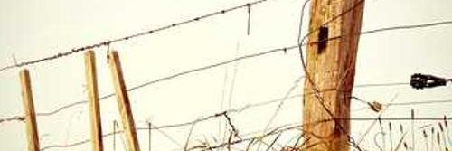 zig2011119's profile banner image