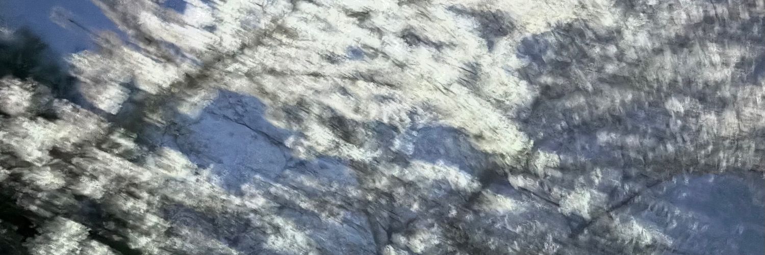 대가리텅텅 banner