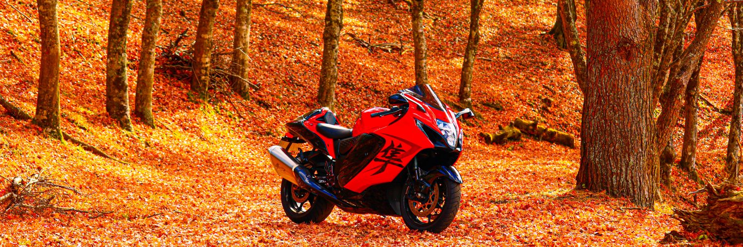 ぼこ@RESTART banner