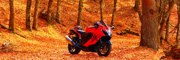 RESTARTBOKO2004 Profile Banner