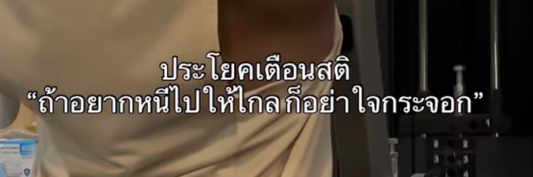 คาเมล banner