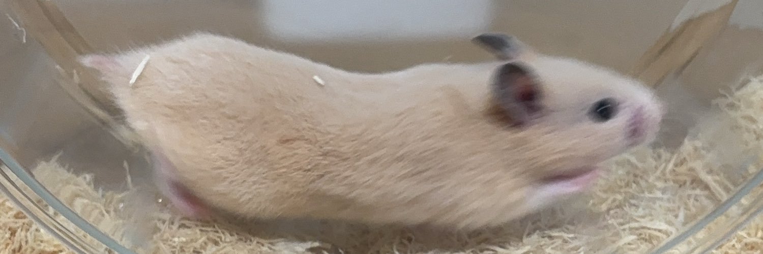 あまね banner