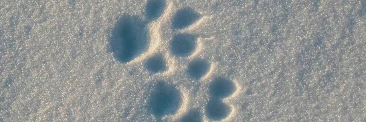 HamsterMaster banner