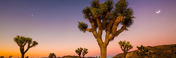 GhostFaceAce312's profile banner image