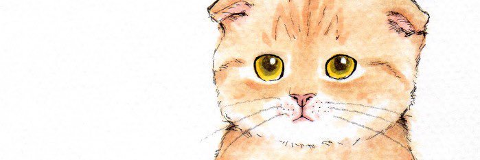 แมวส้มเองงับ banner