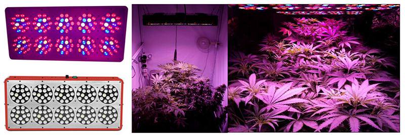 LEDGrowShop's profile banner image