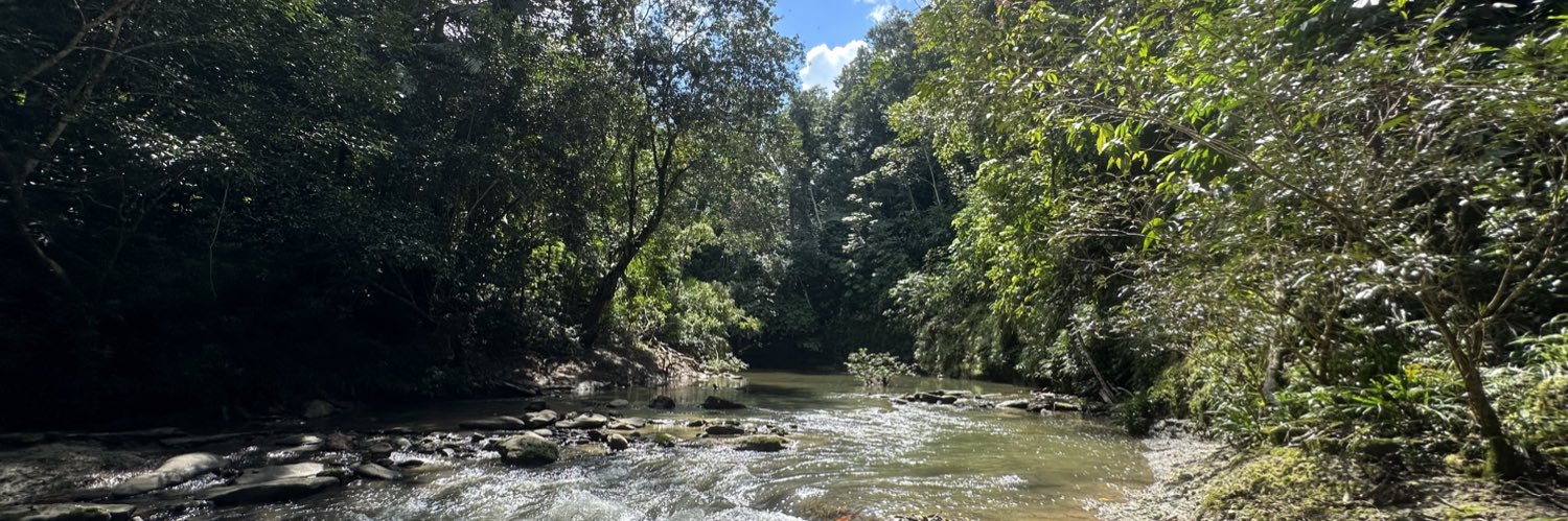 Rodrigo V Cunha 🇧🇷 banner