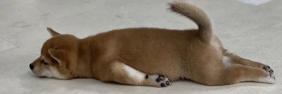 鈴木です。 banner