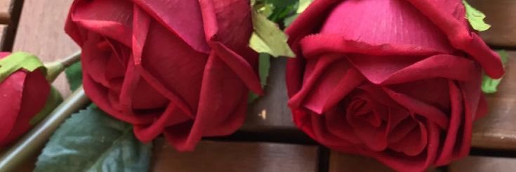 didem__ay's profile banner image