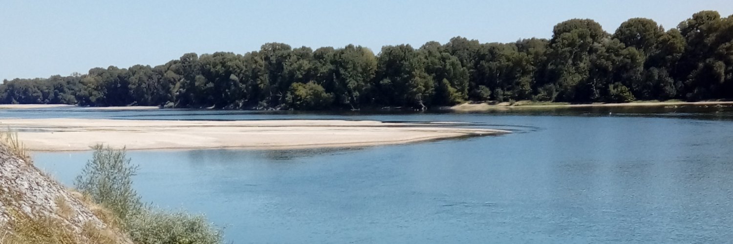 Jill Robinson banner