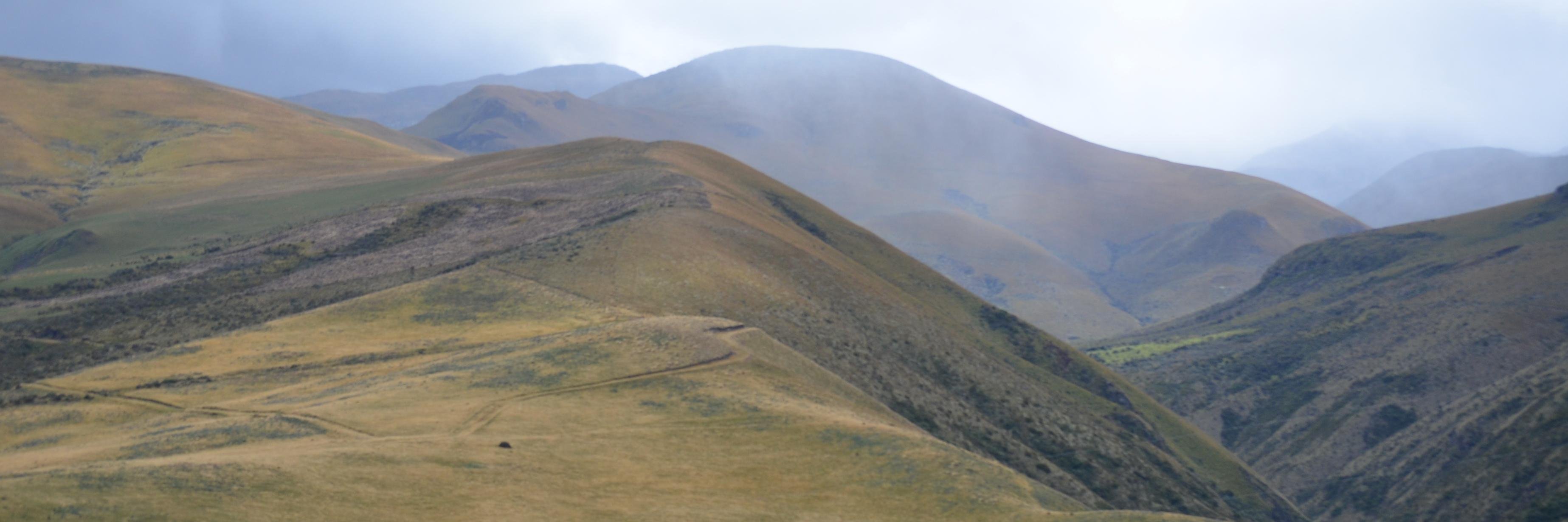 William Eduardo banner