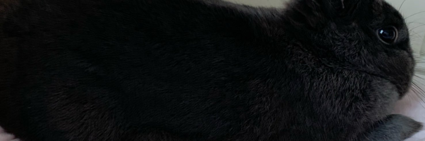 しゃふ banner
