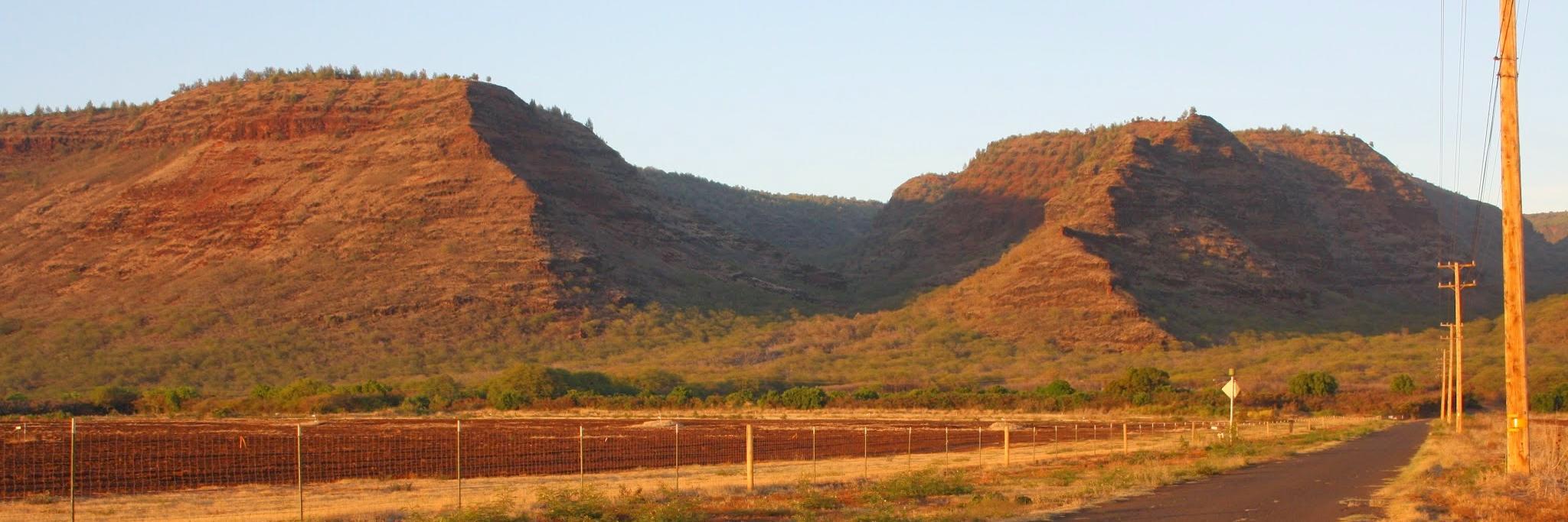 Cornelius A. Ludmann banner