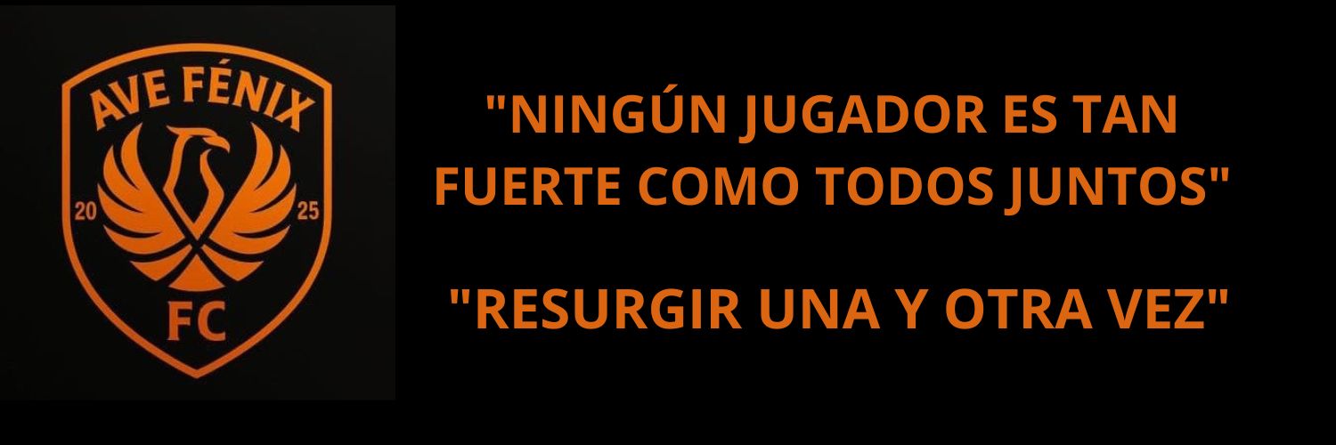 Ave Fénix FC banner