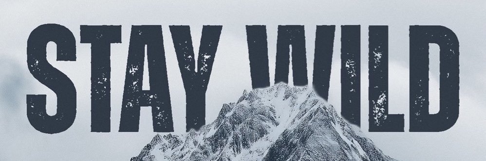 Bar Bar Jinks banner