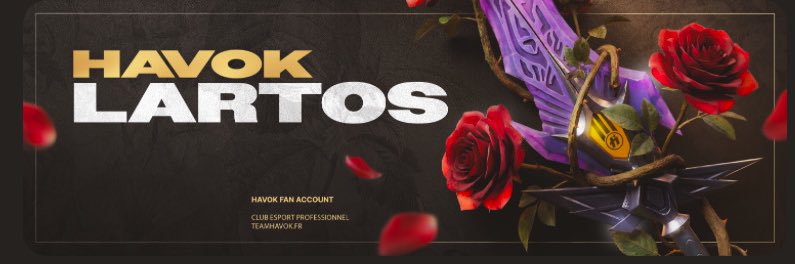 Lartos banner