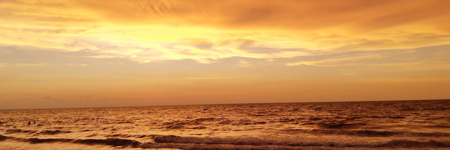 soEllenn_'s profile banner image