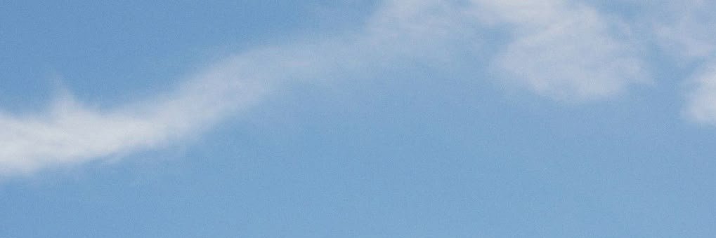 daphne banner