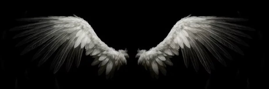 ✚ ely ; #kpopium banner