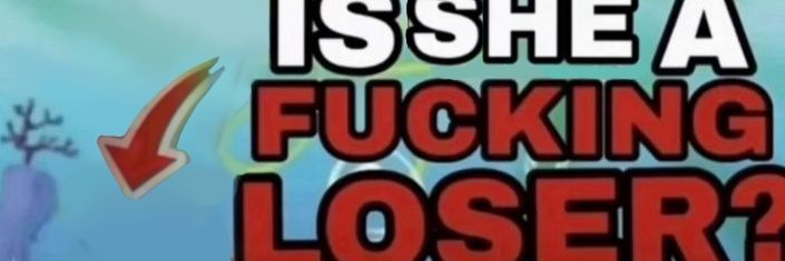 risu_dumb's profile banner image