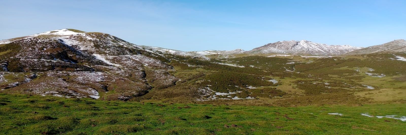 Shentido Comun banner