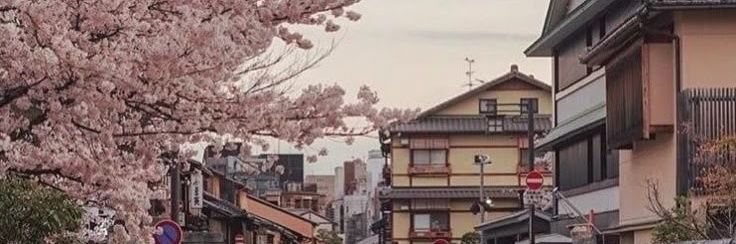 † 𝓓𝓲𝓷𝓸 † banner