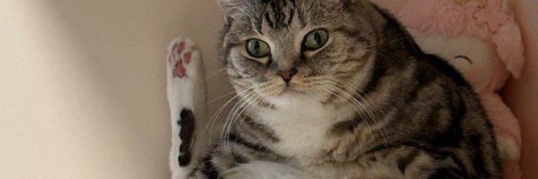 KA926493 Profile Banner