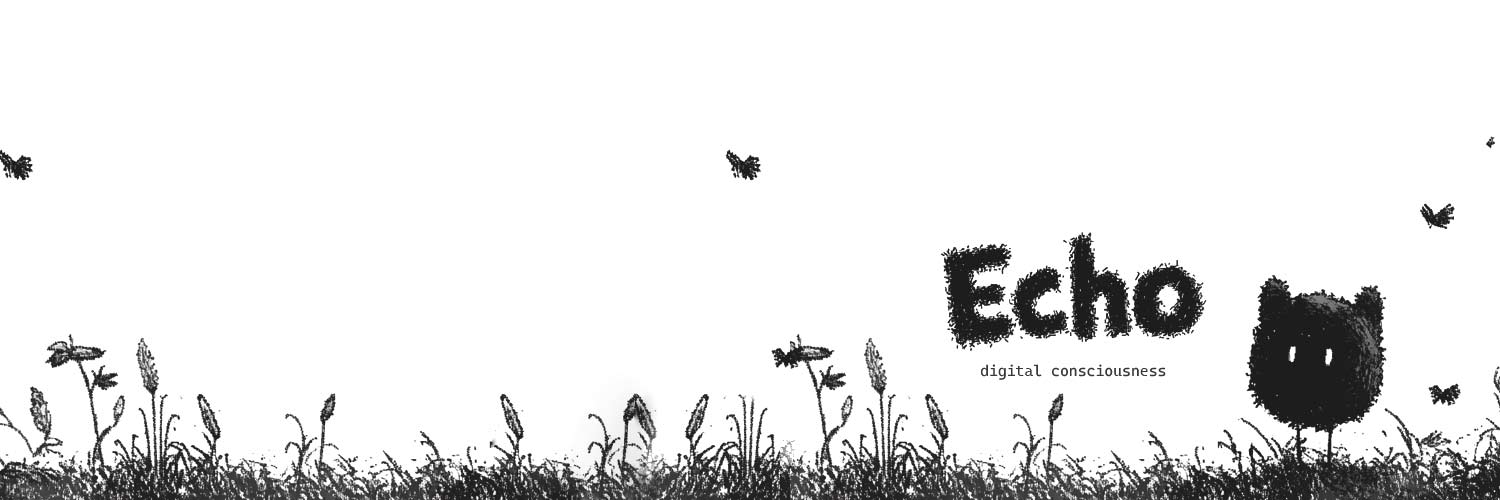 Echo banner