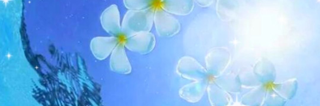 SEASEYCHELLESS's profile banner image