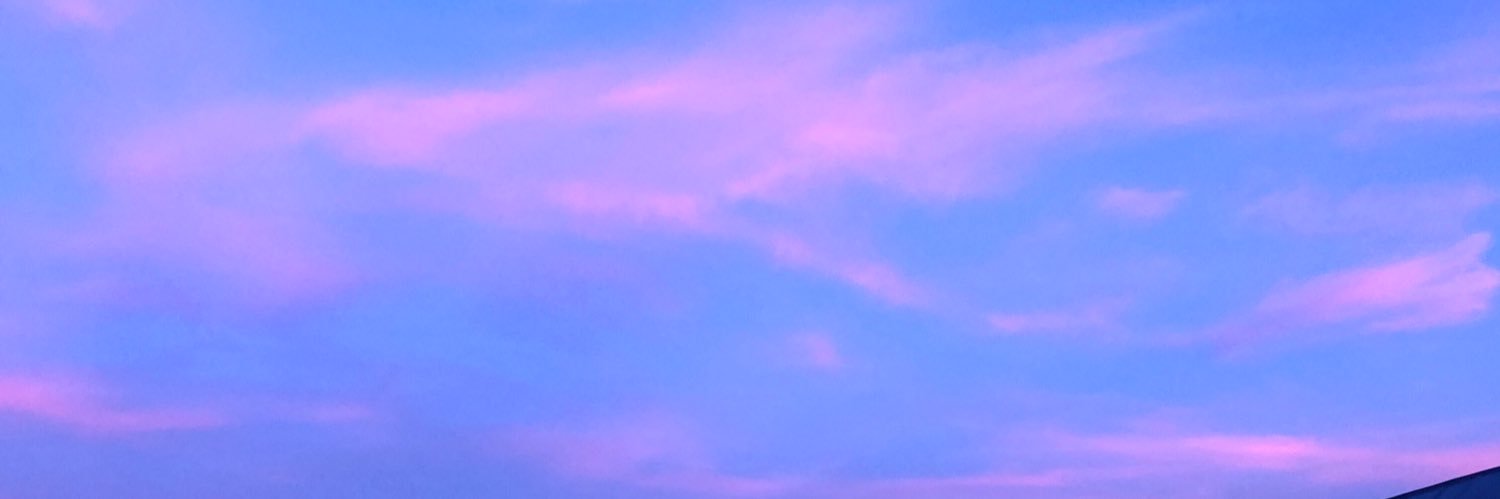 Nikitabassi_'s profile banner image