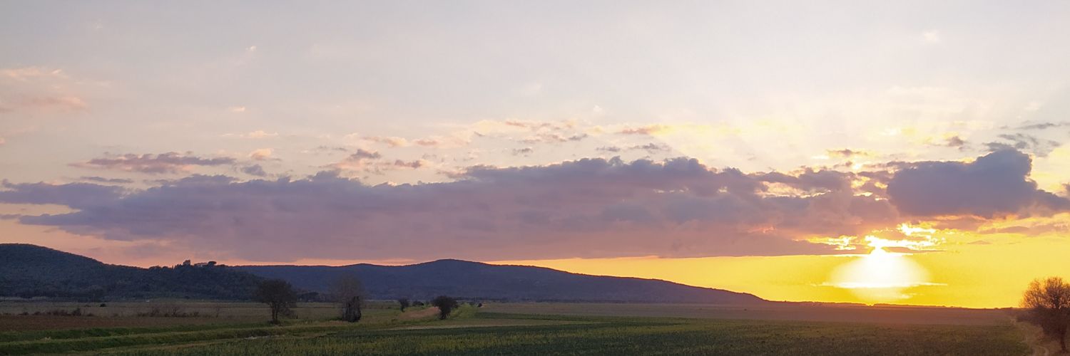 Janek1984's profile banner image