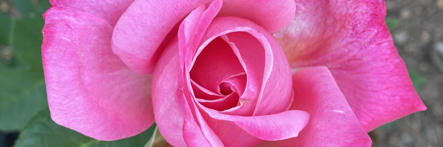 NMunu's profile banner image