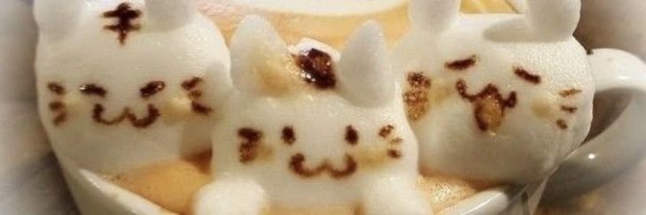 aine 🎼 mingyu freebies📌 banner