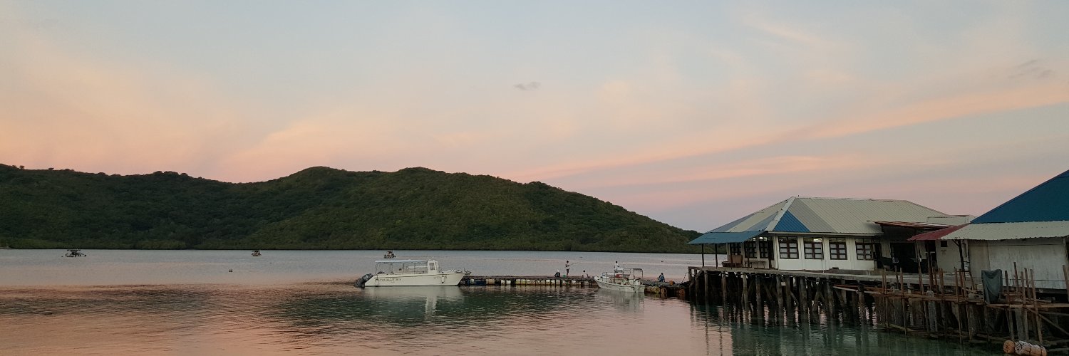 Will McCulloch banner