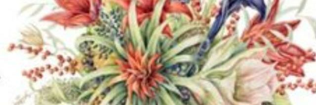 liefde888's profile banner image