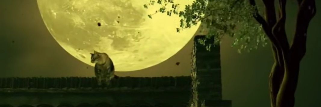 masteryoso29's profile banner image