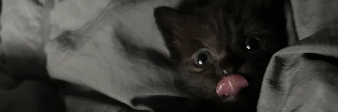 nnnervouss's profile banner image
