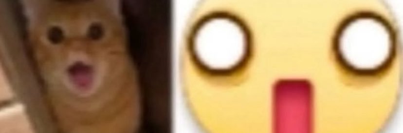 ratznfrogz's profile banner image