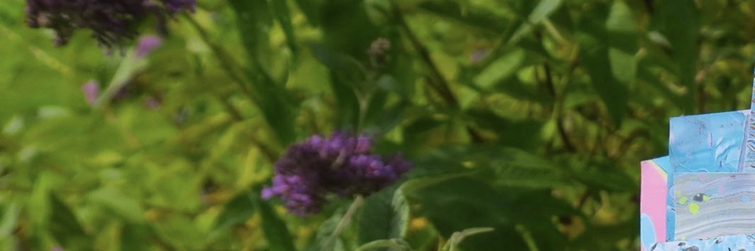 Vero Pepperrell profile banner