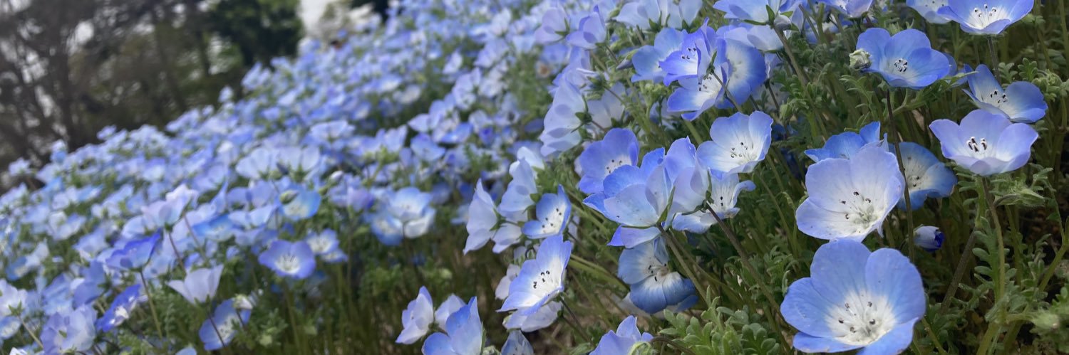 さるぼぼちゃん🌷21w banner