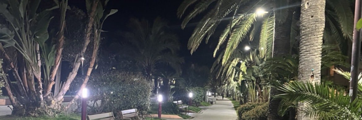 damon4fl's profile banner image
