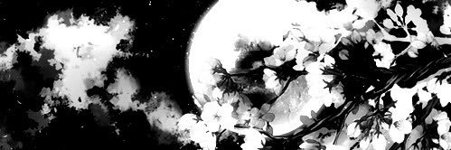 star 🔞 banner