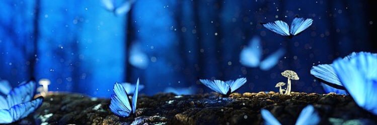 MilaDaCB1604's profile banner image