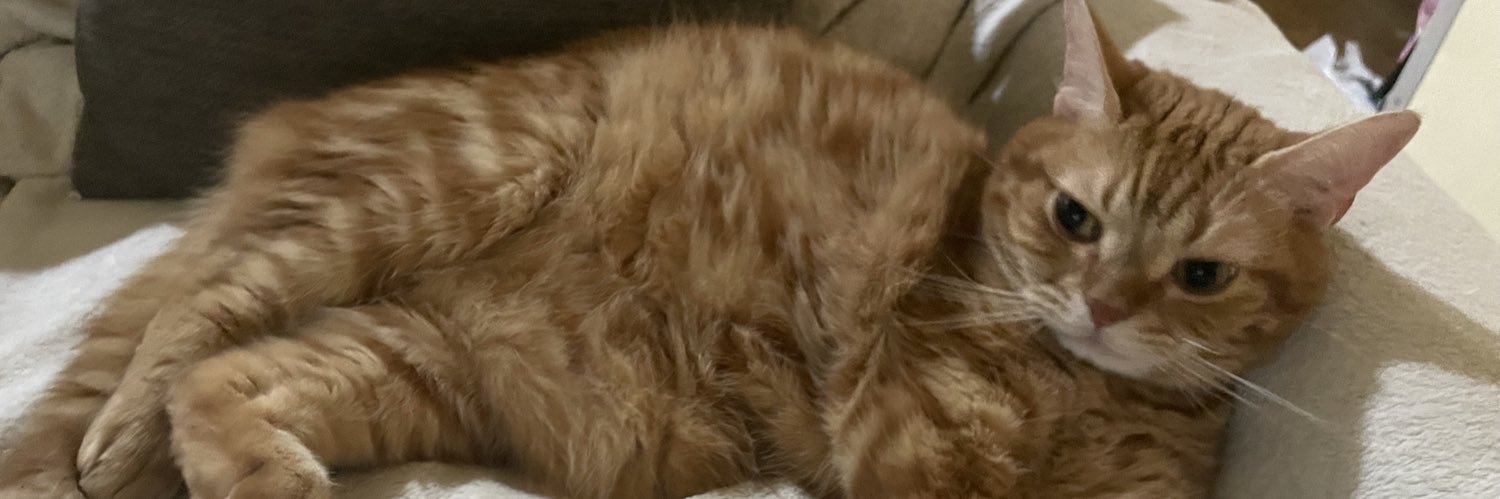 さんどぱん banner