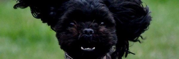 RKChallen Profile Banner