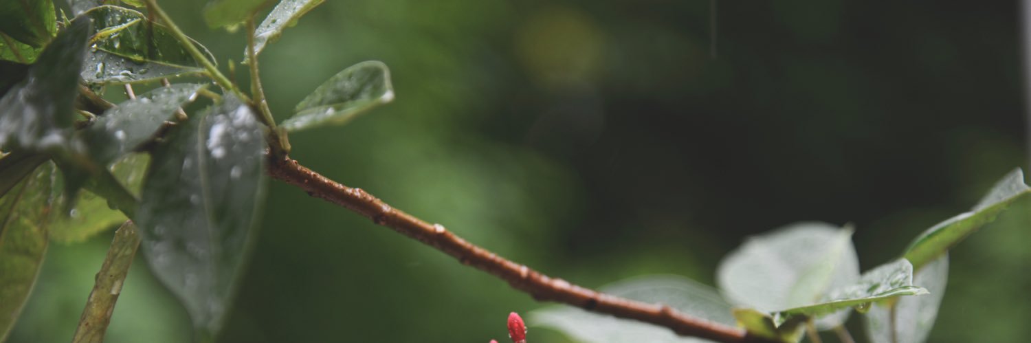 aZxZ's profile banner image