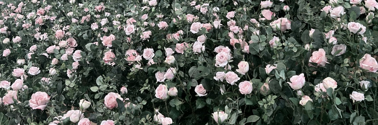 𝜗𝜚.⋆ banner