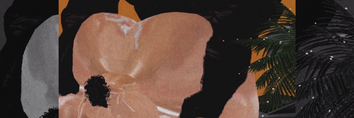 𝐚𝐫𝐢𝐢 ᥫ᭡ banner