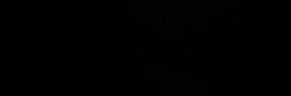 𝐌𝐨𝐧𝐢𝐜𝐚 banner